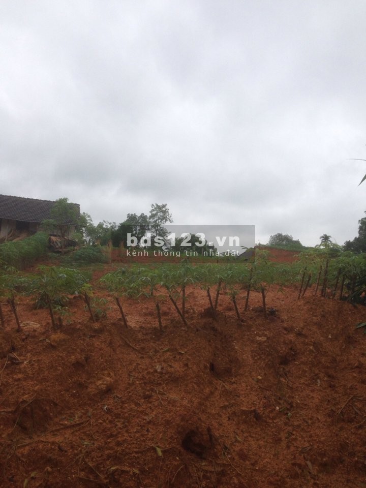 Bán đất mặt đường bê tông 9m hai đầu giáp tỉnh lộ 317