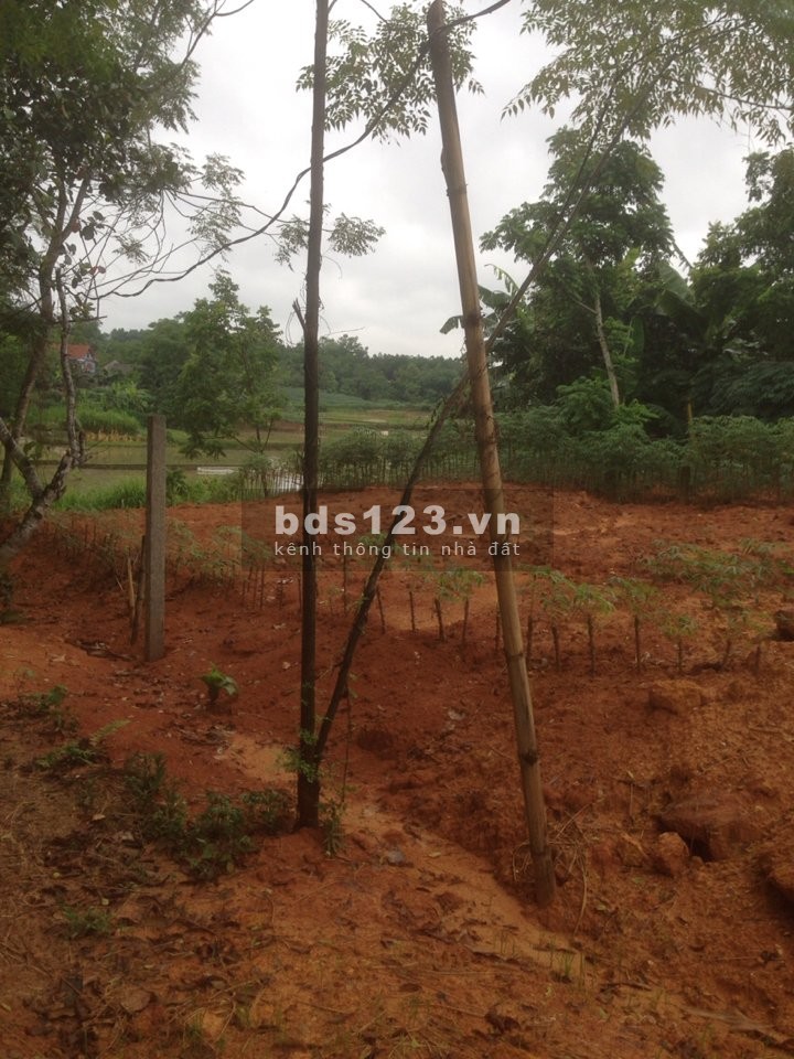 Bán đất mặt đường bê tông 9m hai đầu giáp tỉnh lộ 317