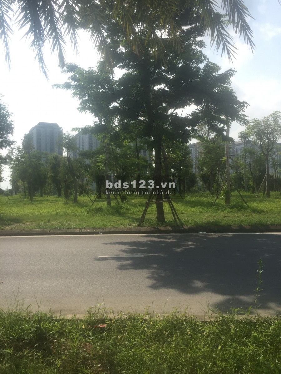Biệt thự rẻ nhất Thanh Hà Mường Thanh khu B1.4