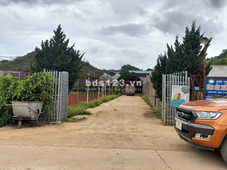 Bán đất Mộc Châu view Đồi Gió gần trung tâm