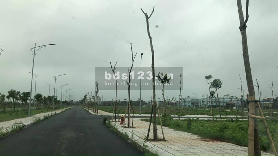 Mở Bán Dự Án Đất Nền Trái Diêm 3 Tiền Hải - Thái Bình - Cơ Hội Đầu Tư Mùa Covid
