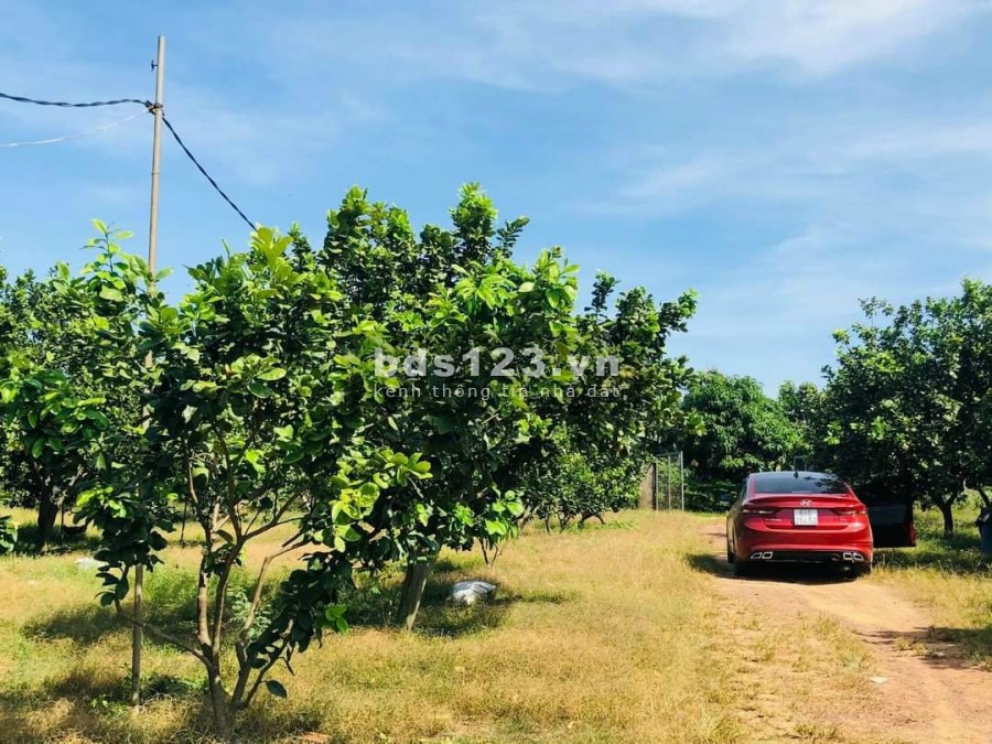 Đất vườn Quốc Lộ 20, diện tích 1000m2