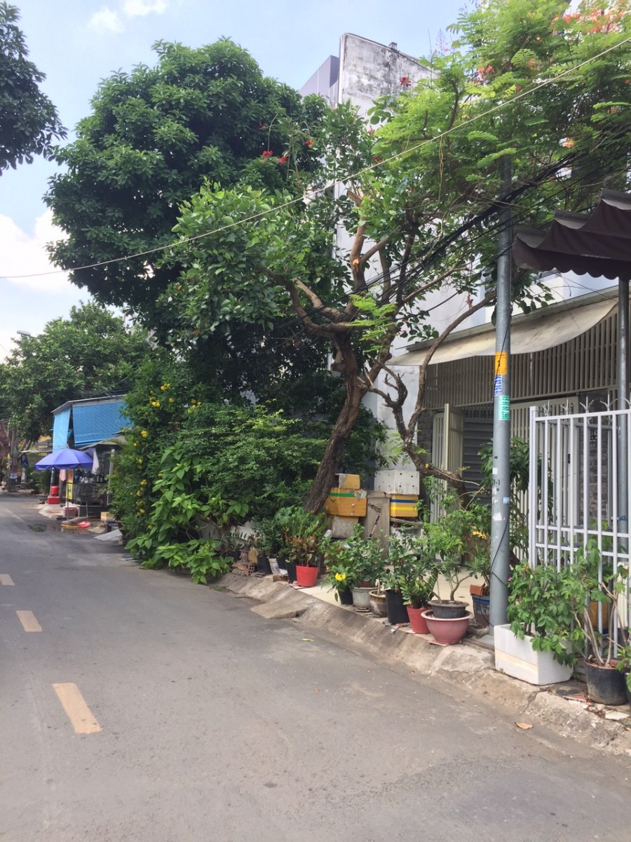 Bán Đất An Phú, Quận 2 DT 100m2 Giá 14,5 tỷ