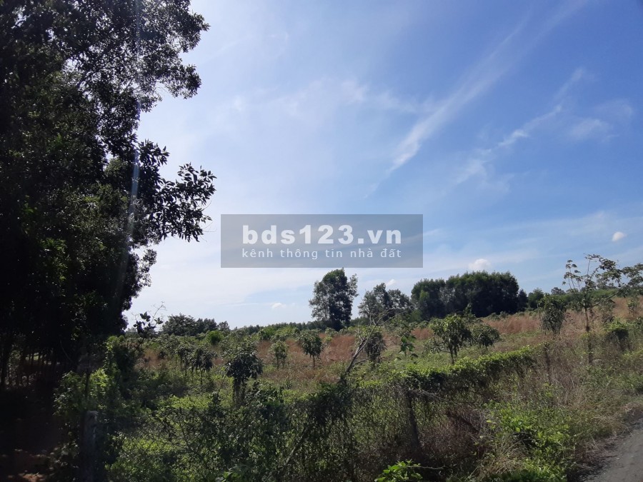 Chính chủ cần bán đất Vũng Tàu, 35000m2, lô góc, 2 mặt thoáng kinh doanh, giá chỉ 5 tỷ