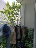 Bán nhà chính chủ hẻm 79 Thống Nhất ngay bệnh viện Hồng Đức 44m2 chỉ 3,2 tỷ