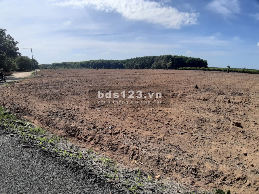 Chính chủ cần bán đất Vũng Tàu, 35000m2, lô góc, 2 mặt thoáng kinh doanh, giá chỉ 5 tỷ