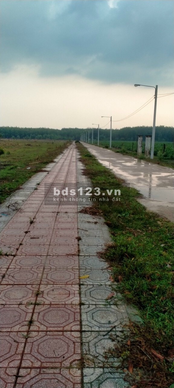9,6 héc. Thổ cư có 1.400m2. MT đường 756B Minh Lập Chơn Thành Bình Phước.