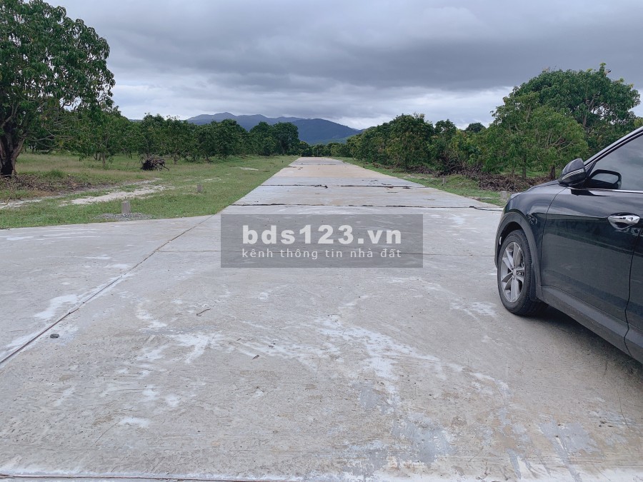 Đất cây lâu năm sổ đỏ đón đầu cao tốc