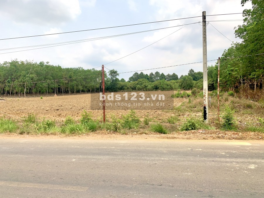 1.2tr/m2 Đất ONT ngay KCN Phước Bình-Long Thành LH:0939805721