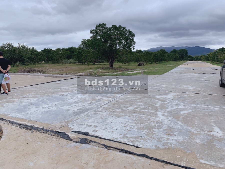 Đất cây lâu năm sổ đỏ đón đầu cao tốc