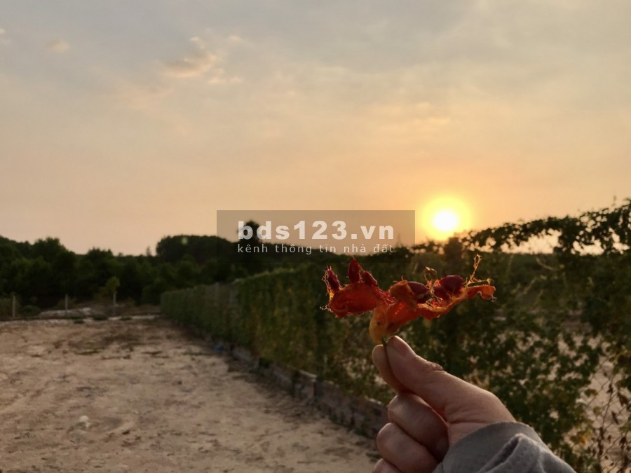 1126m2 có 22m mặt tiền đường, ngay hồ sinh thái Lộc An, xã Lộc An, huyện Long Thành.