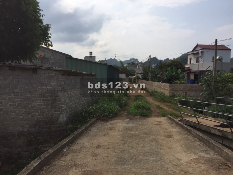 Bán đất Bản Áng xã đông sang view rừng thông giáp suối