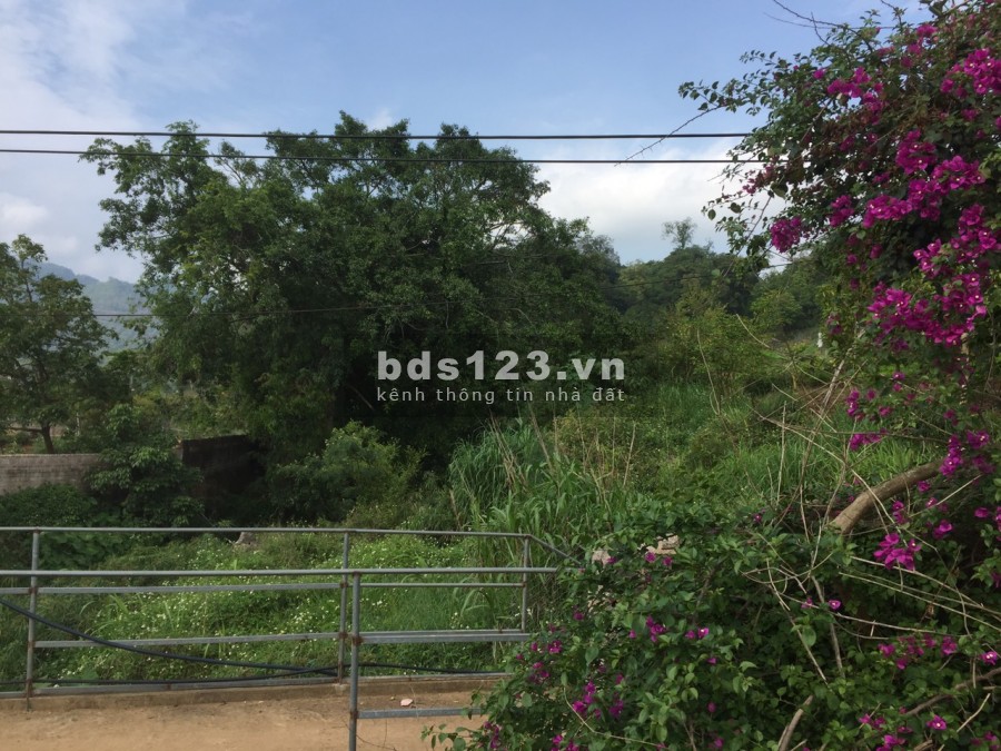 Bán đất Bản Áng xã đông sang view rừng thông giáp suối
