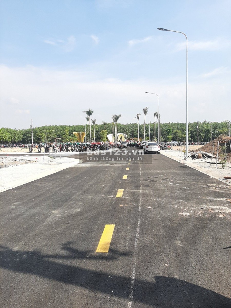 Tân uyên có thật sự hót từng ngày