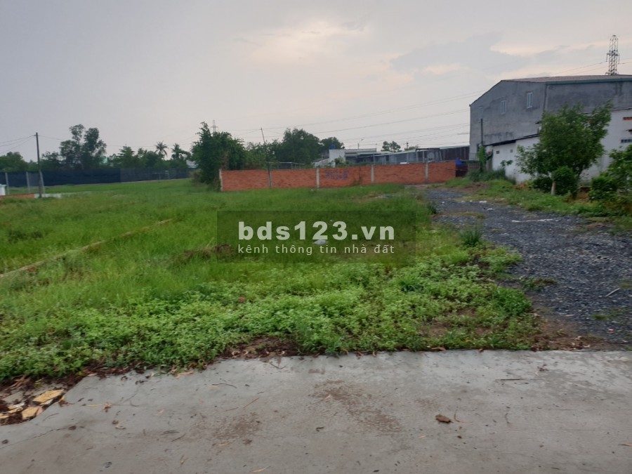 Bán gấp đất chính chủ chính chủ 80m2 tại Hoàng Phan Thái, Bình Chánh