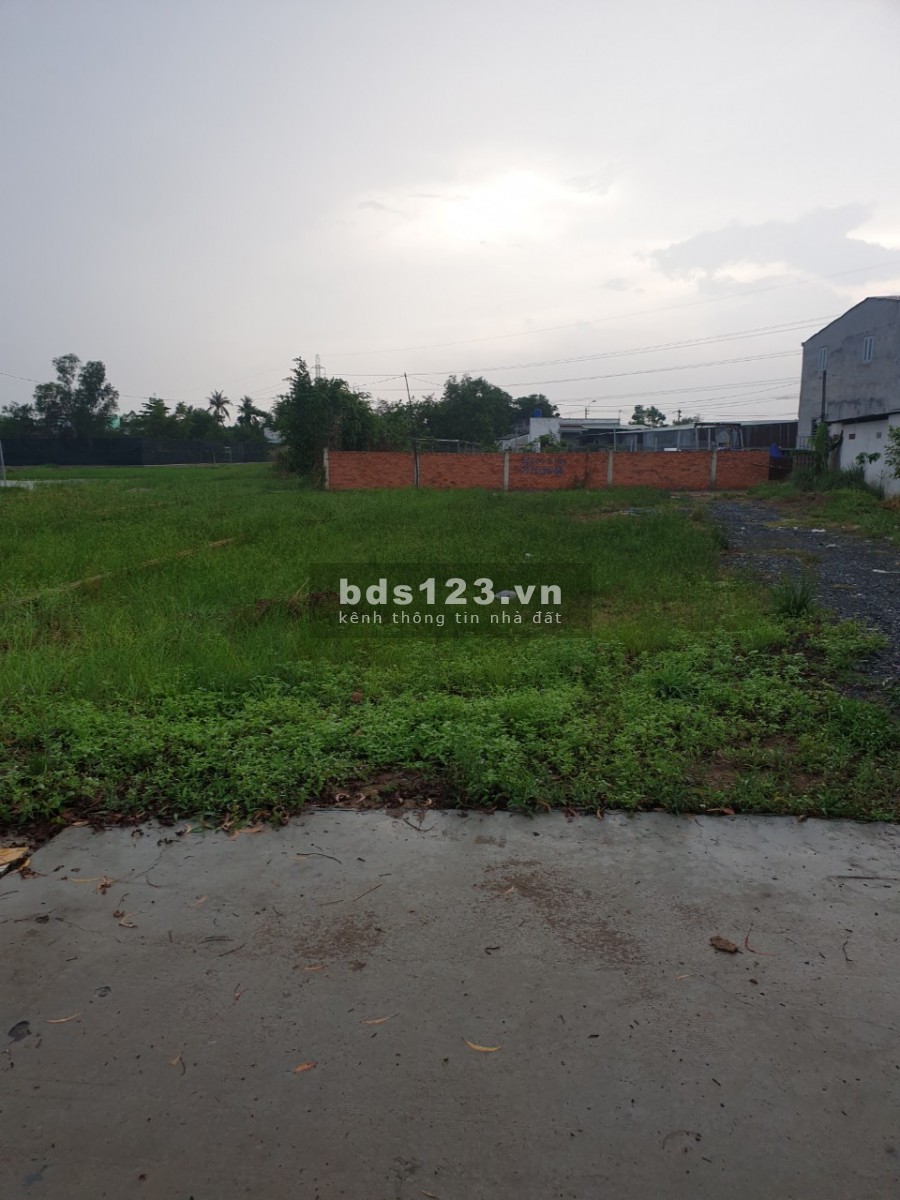 Bán gấp đất chính chủ chính chủ 80m2 tại Hoàng Phan Thái, Bình Chánh