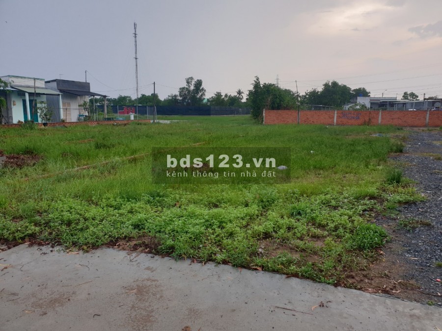 Bán gấp đất chính chủ chính chủ 80m2 tại Hoàng Phan Thái, Bình Chánh