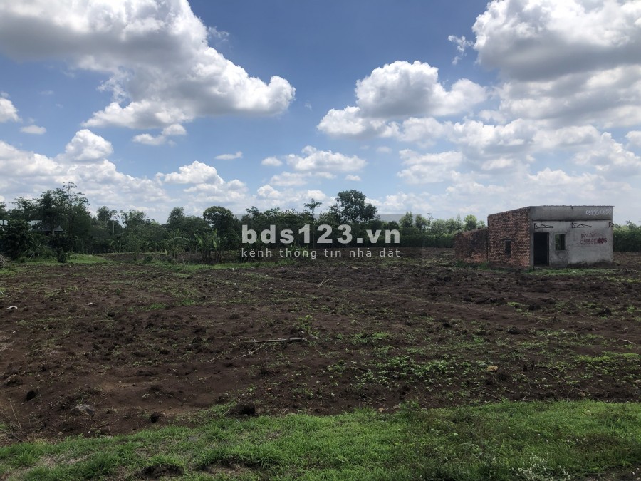 BÁN GẤP 373M2 ĐẤT FULL HỒNG XÃ XUÂN ĐÔNG CẨM MỸ CÓ 50M2 THỔ CƯ