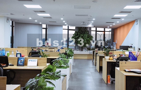 Cho thuê văn phòng tại Đà Nẵng giá rẻ