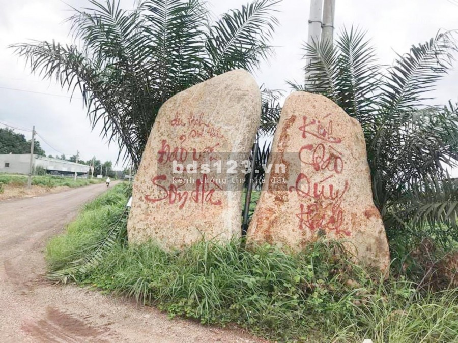 Đất Mặt tiền Nguyễn Văn Linh Ngay ủy ban nhân Dân Huyện Đồng Phú.