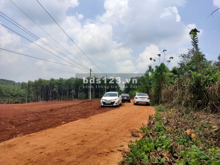 Đất quá tốt để đầu tư ngay 100,4 m2
