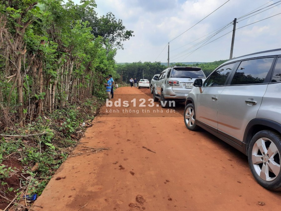 Đất quá tốt để đầu tư ngay 100,4 m2