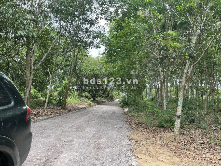 Cần bán đất Long Thành giá 1,2 triệu/m vuống đất