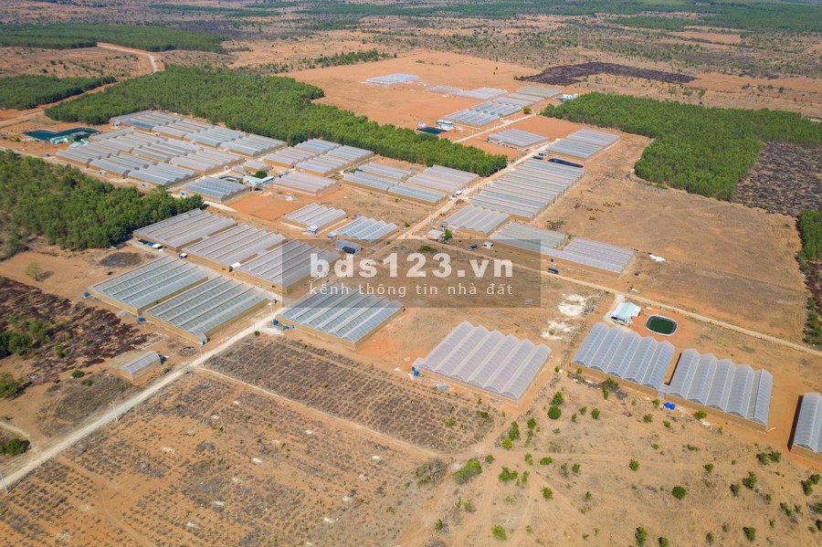 Bán lô đất vuông vức nở hậu dễ dàng kết nối ngã 4 Liên Huyện đường vào đất cực đẹp
