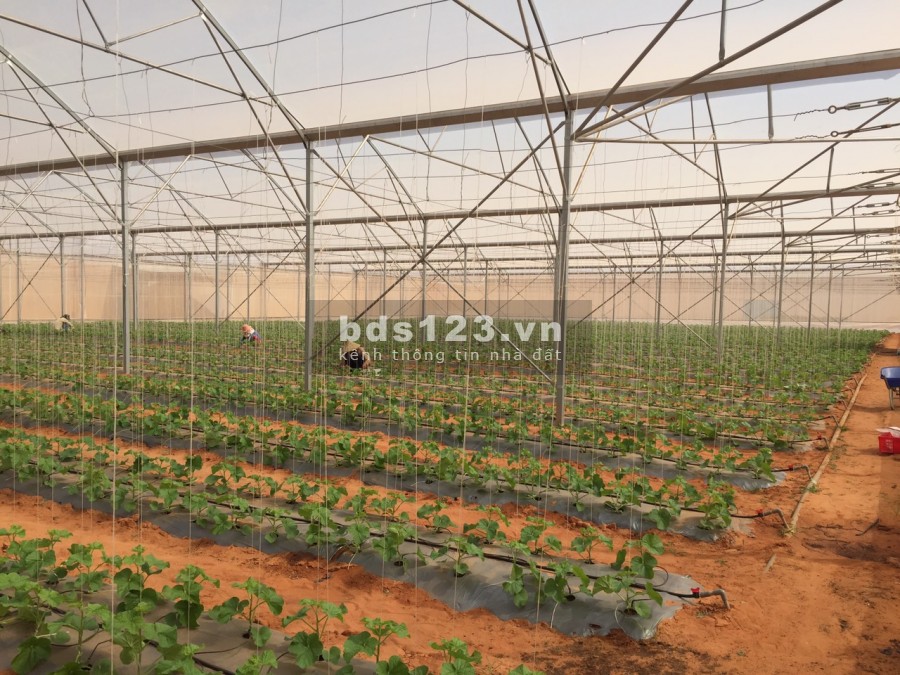 Bán lô đất vuông vức nở hậu dễ dàng kết nối ngã 4 Liên Huyện đường vào đất cực đẹp