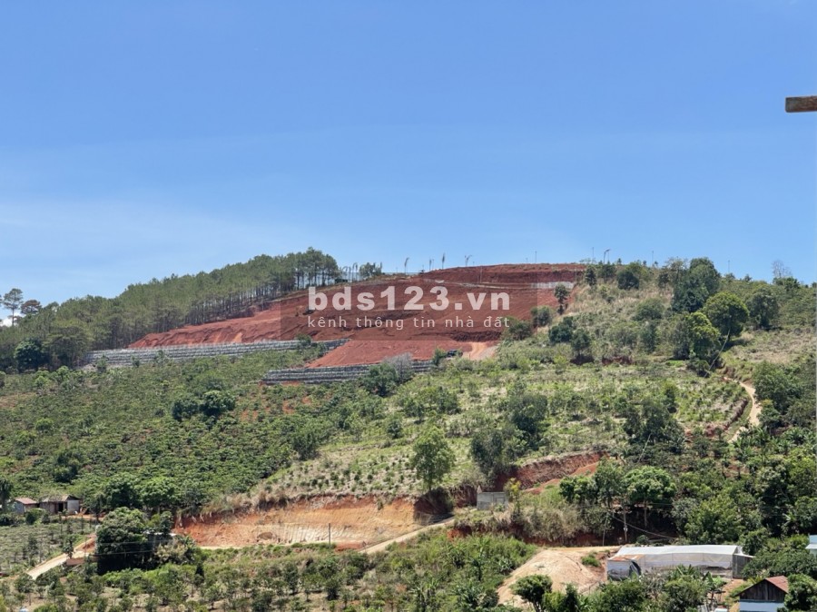 BÁN 200M2 ĐẤT THỊ TRẤN NAM BAN 2.2 TRIỆU/M2, 75M2 THỔ CƯ