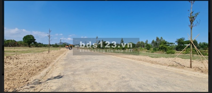 Bán Đất trong KDL Tâm Linh Núi Dinh, Lưng tựa núi, Mặt hướng suối, Sổ sẵn từng nền, Đơn giá F0