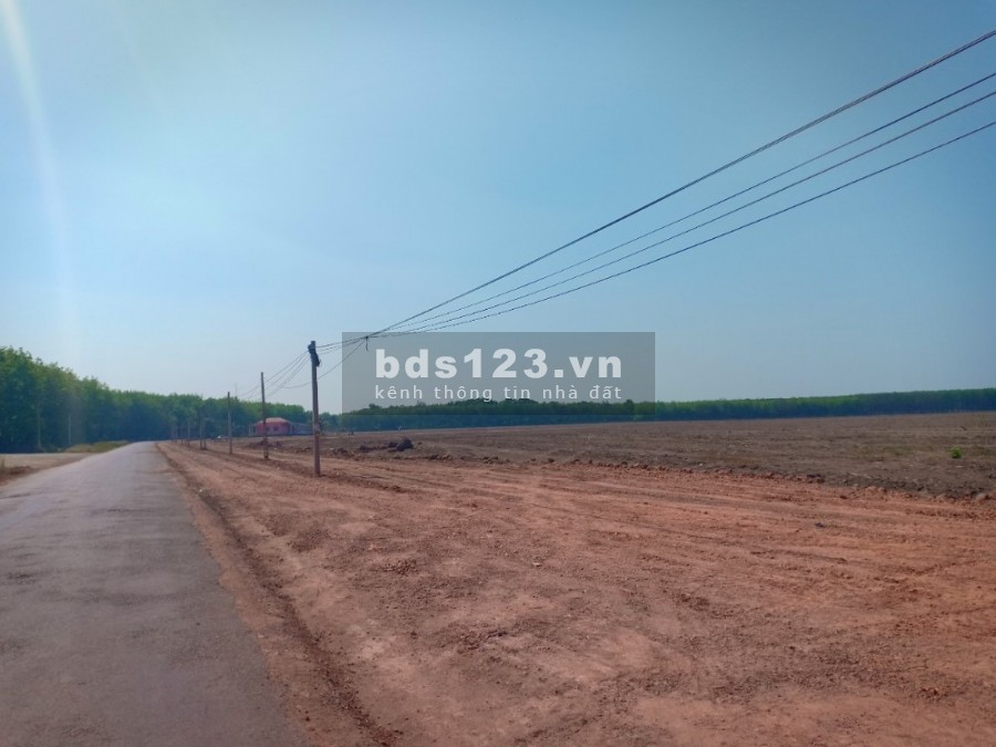 Bán đất mặt tiền đường lớn. Diện tích 5000m2. Đúng giá 390 triệu. Sổ hồng riêng. Đối diện KCN lớn