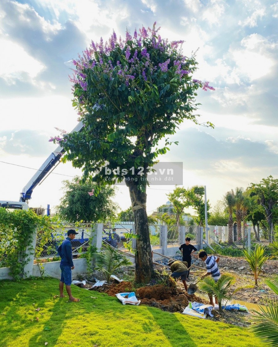 Bán đất Củ Chi có sổ hồng riêng