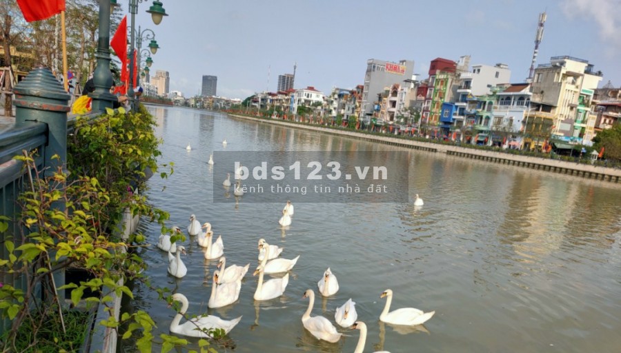 Mặt đường tuyến 1 THẾ LỮ HỒNG BÀNG HẢI PHÒNG
