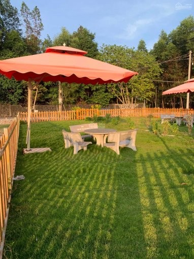 Kẹt tiền Gia đình tôi cần bán gấp lô đất ngay trung tâm phú mỹ, giá chỉ 890 triệu/nền 125m2