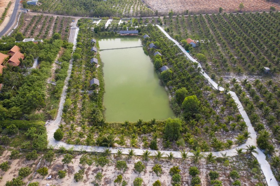 Cạnh Safari Rạng Đông 3.300ha, sau lưng UBND xã Bình Tân, góc giao 2 đường quy hoạch đang