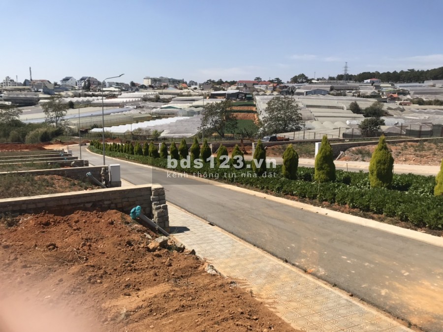 18 lô đất nền biệt thự P8 đà lạt 260m2, sẵn sổ hồng 100% thổ cư