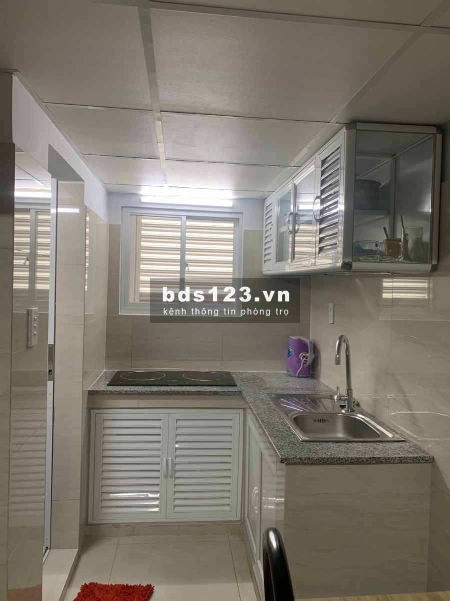 Cho thuê căn hộ full nội thất, đường Lý Phục Man quận 7