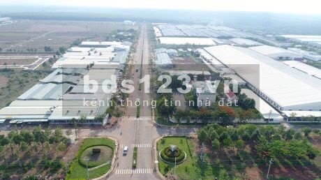 Bán cắt lỗ để có tiền gửi sang Mỹ cho con sống qua đợt dịch này