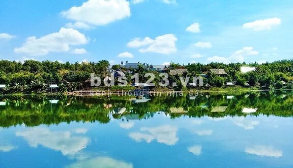 Bán cắt lỗ để có tiền gửi sang Mỹ cho con sống qua đợt dịch này