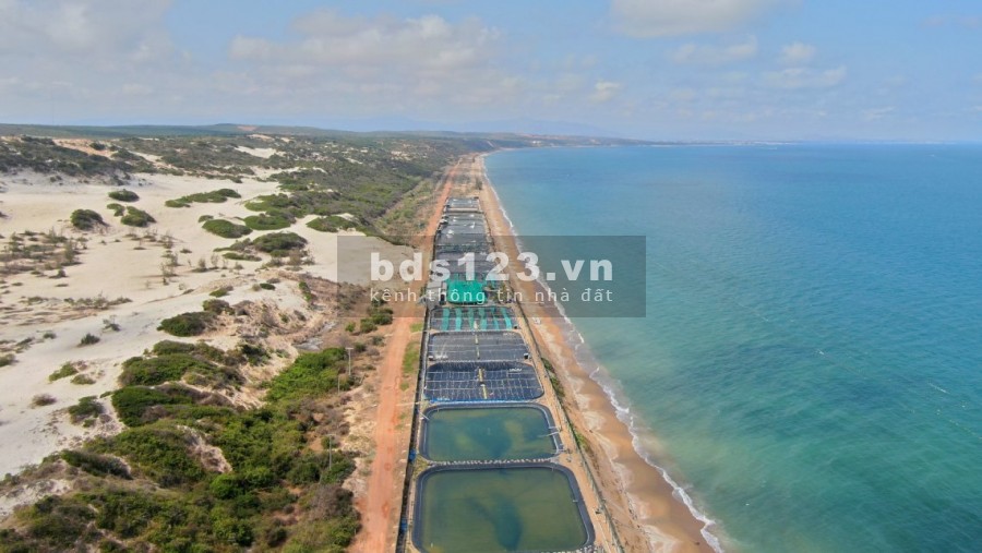 Lô đất nông nghiệp view biển tại Bắc Bình, Bình Thuận
