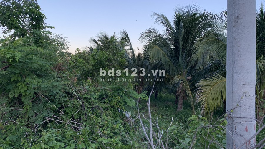 Cần bán lô đất tại thôn Xuân Cam xã Xuân Sơn huyện Vạn ninh tỉnh Khánh Hòa