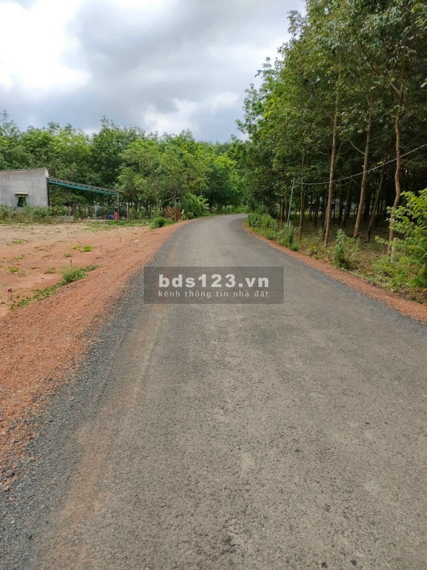 Cần bán vài sào đất Đồng Phú 1000m2/480tr