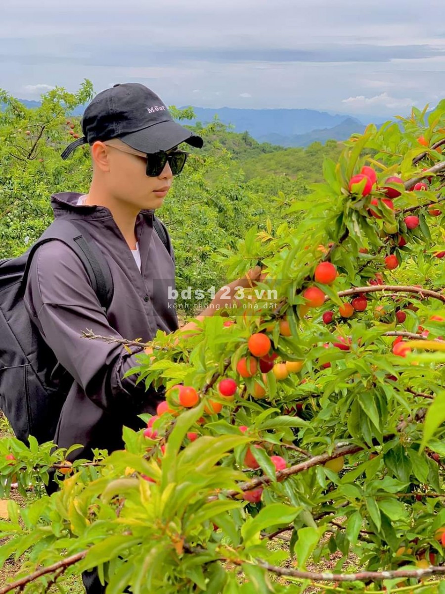 Đất Du Lịch, nằm trung tâm của TT Mộc Châu, view cực đẹp, full mọi mục đích kinh doanh và sử dụng