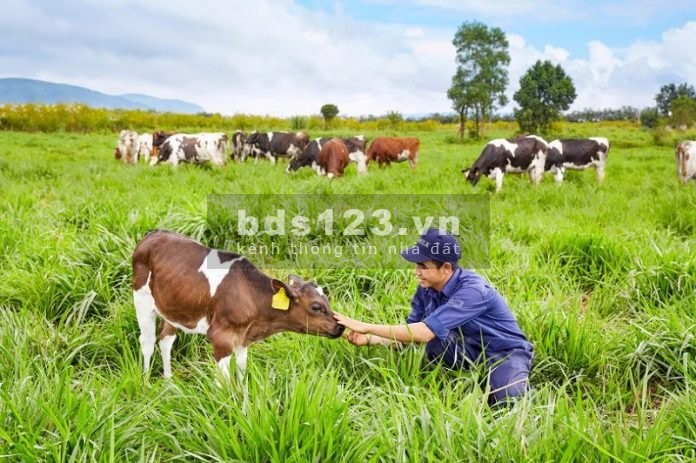 Đất Du Lịch, nằm trung tâm của TT Mộc Châu, view cực đẹp, full mọi mục đích kinh doanh và sử dụng