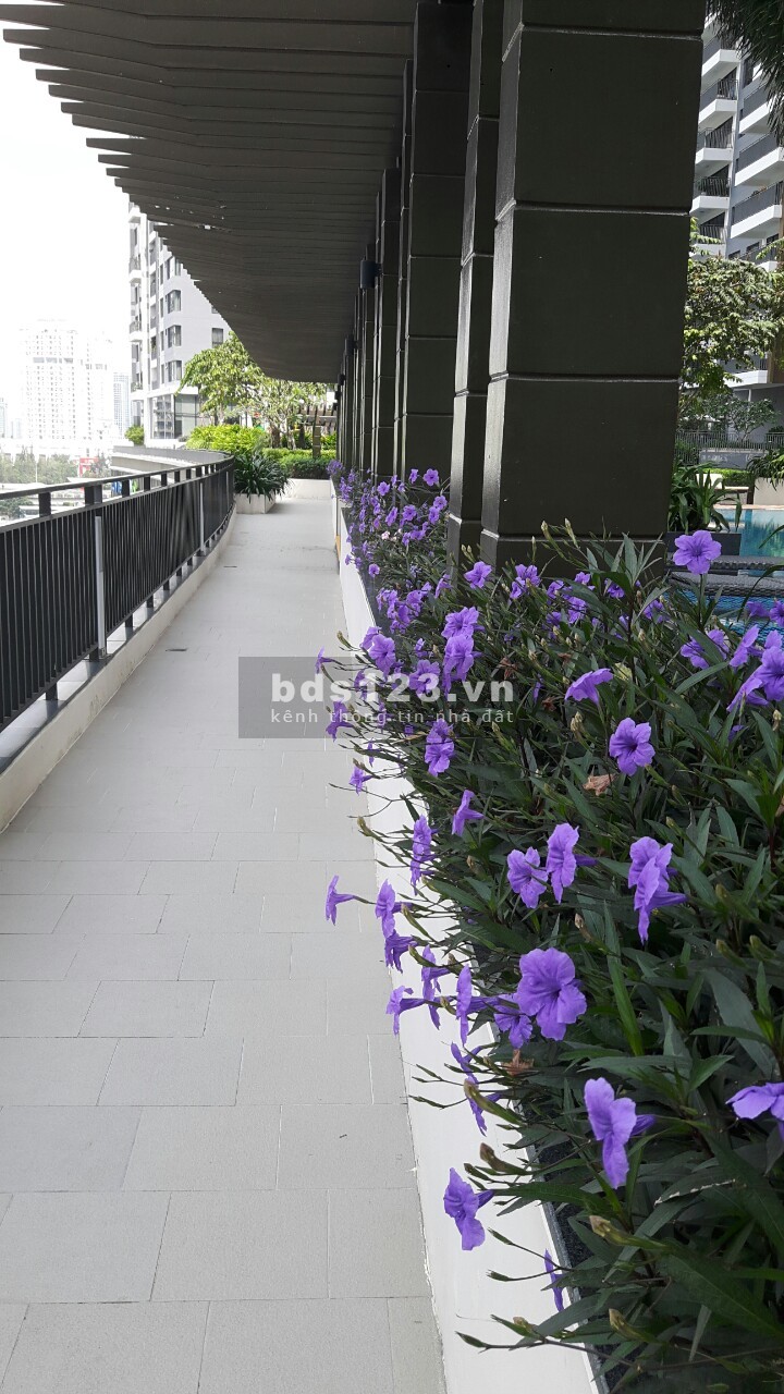 Bán gấp căn Penthouse 320m2 Riviera Point Quận 7. DT 320m2 giá 18 tỷ. LH 0919508828