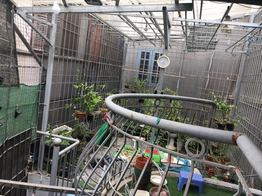(HIẾM) LÔ GÓC PHỐ AN TRẠCH, 55M, 3 TẦNG, MẶT TIỀN 10M, GIÁ 3.7 TỶ (0395454603)