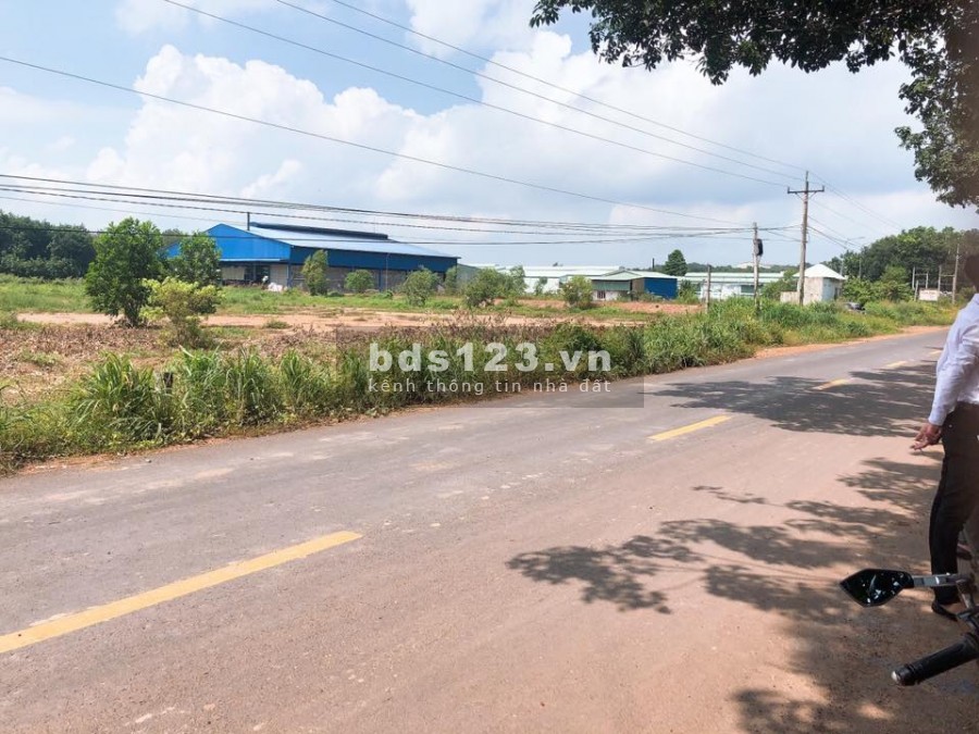 Về quê sinh sống bán gấp 2000m2 ngay tại trung tâm hành chính