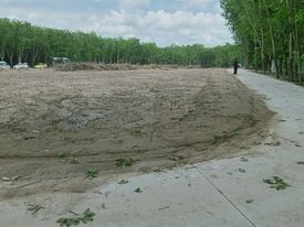 Cần bán đất 200m2 khu vực huyện Chơn Thành