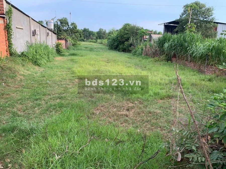 Cần bán miếng đất 200m2 tại thới tam thôn, giá 1 tỷ 3, shr.